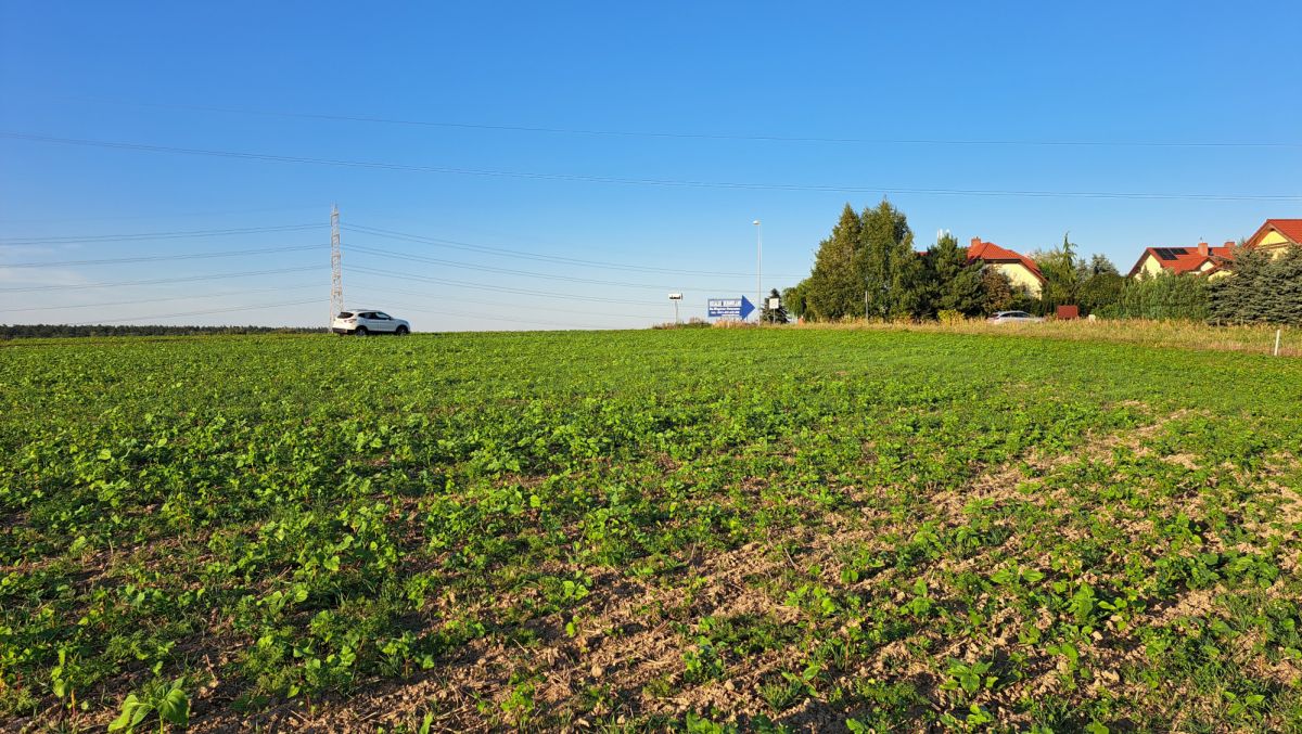 Apartment - 3753 m² - Kórnik
