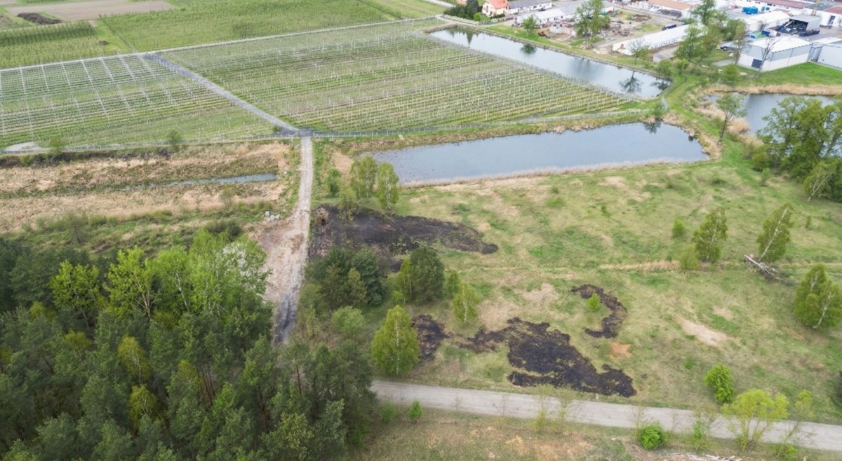 Plot - 1974 m² - Potycz