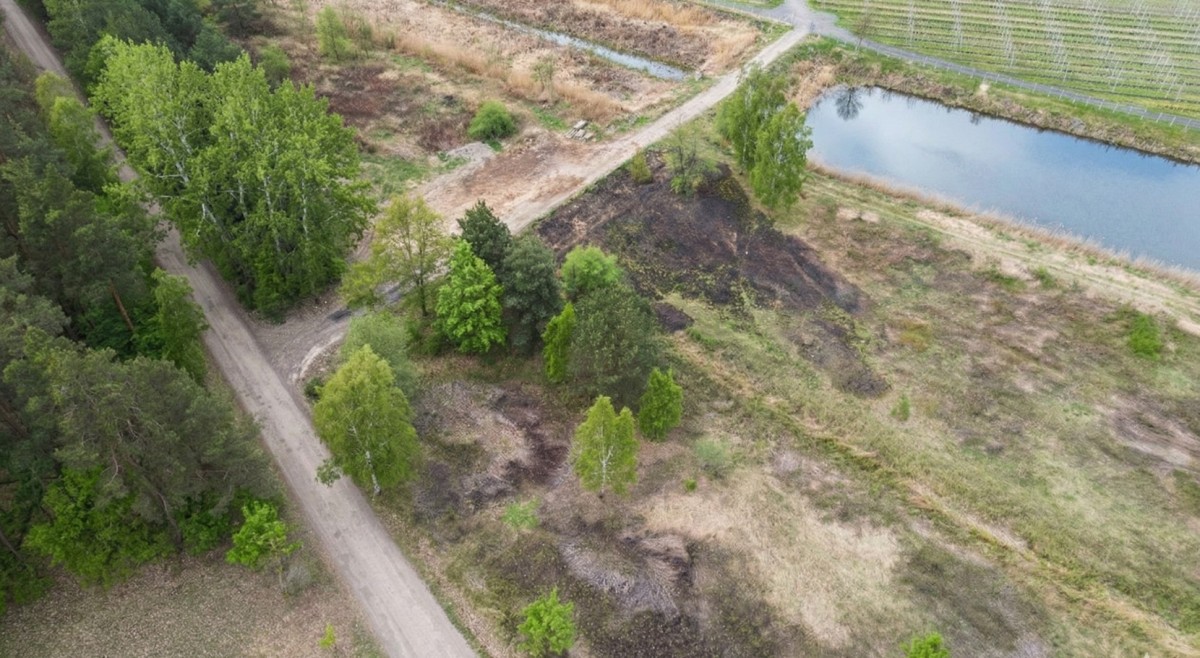 Plot - 1974 m² - Potycz