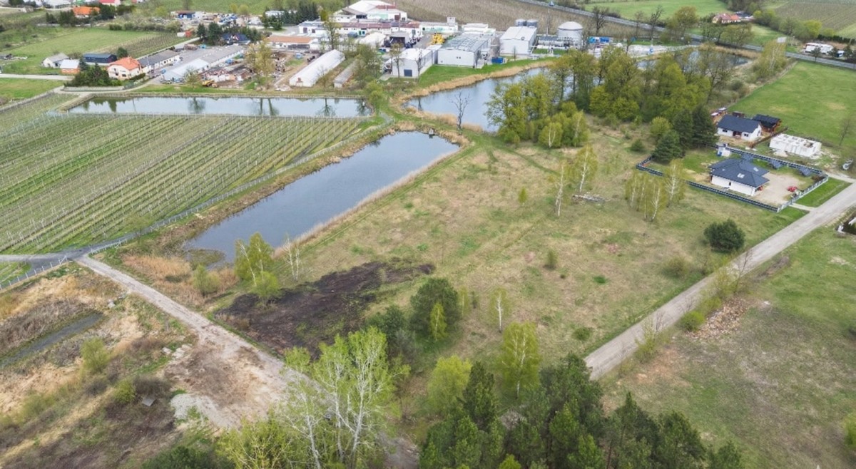 Plot - 1974 m² - Potycz