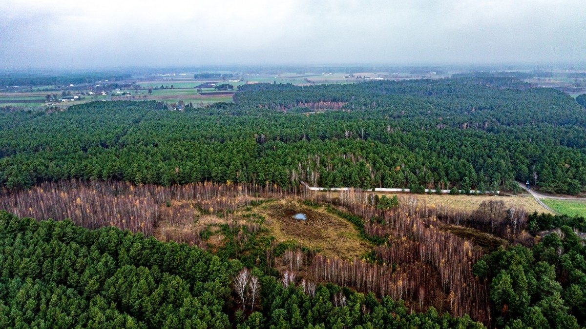 Grundstück - 6536 m² - Gizałki