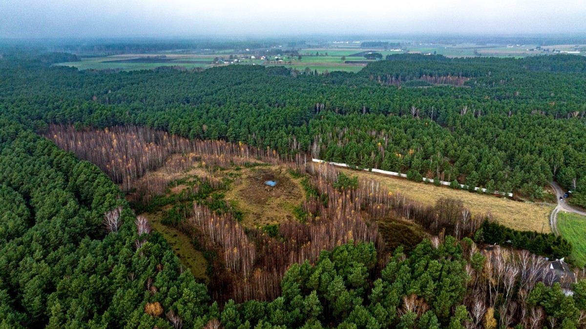 Grundstück - 6536 m² - Gizałki