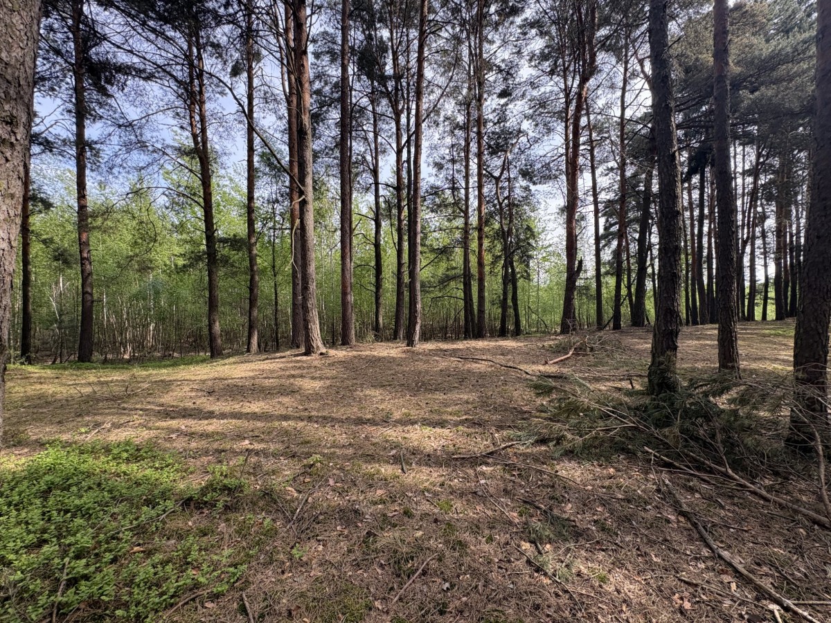 부지 - 7622 m² - 기잘키-라스