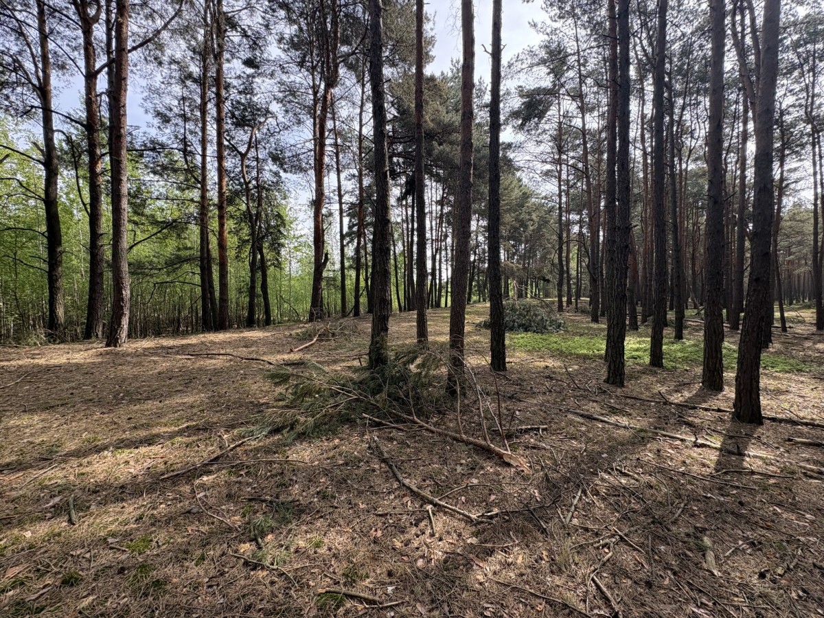 부지 - 7622 m² - 기잘키-라스