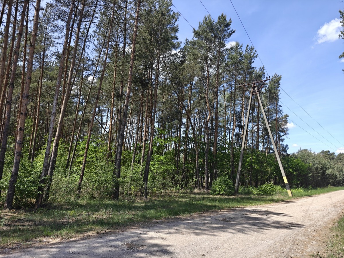 Apartamento - 5400 m² - c/ Kolejowa Krzyżówka