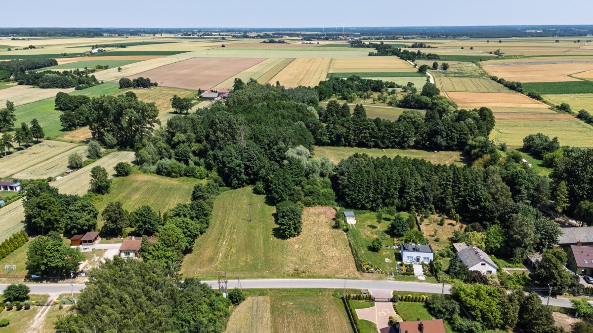 Terreno - 1500 m² - Branica