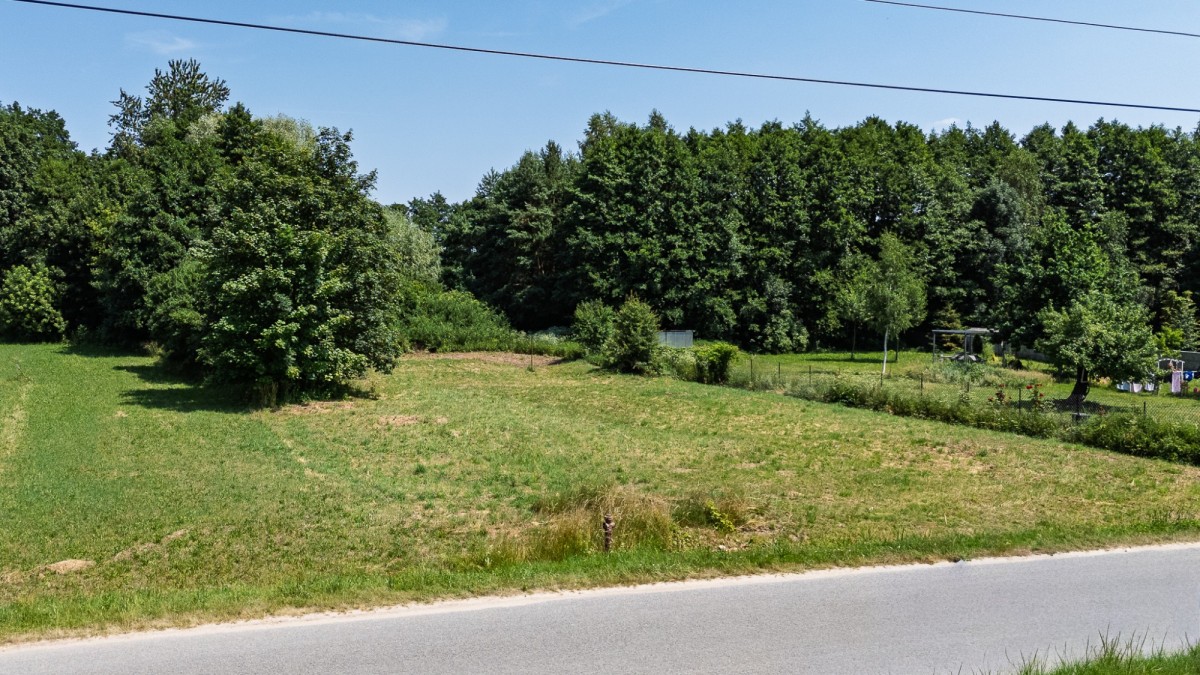Terreno - 1500 m² - Branica