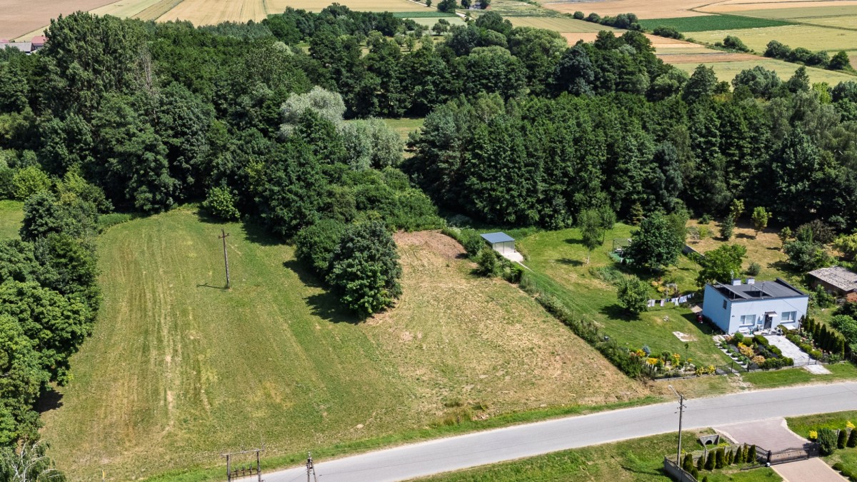 Terreno - 1500 m² - Branica