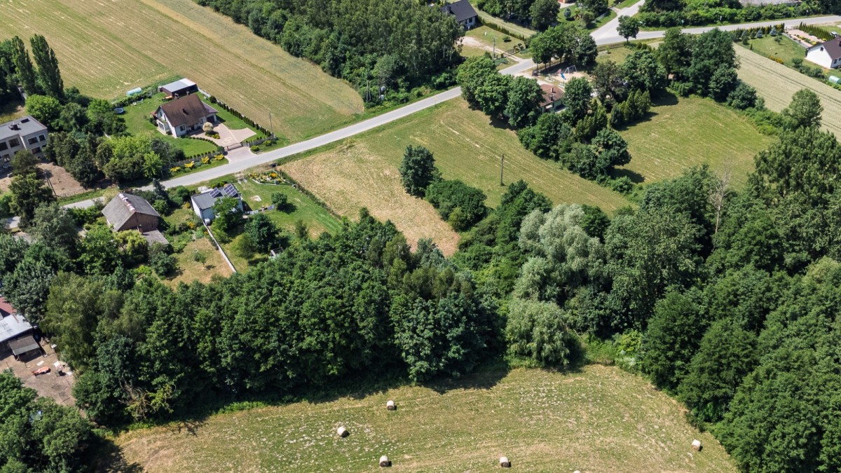Terreno - 1500 m² - Branica