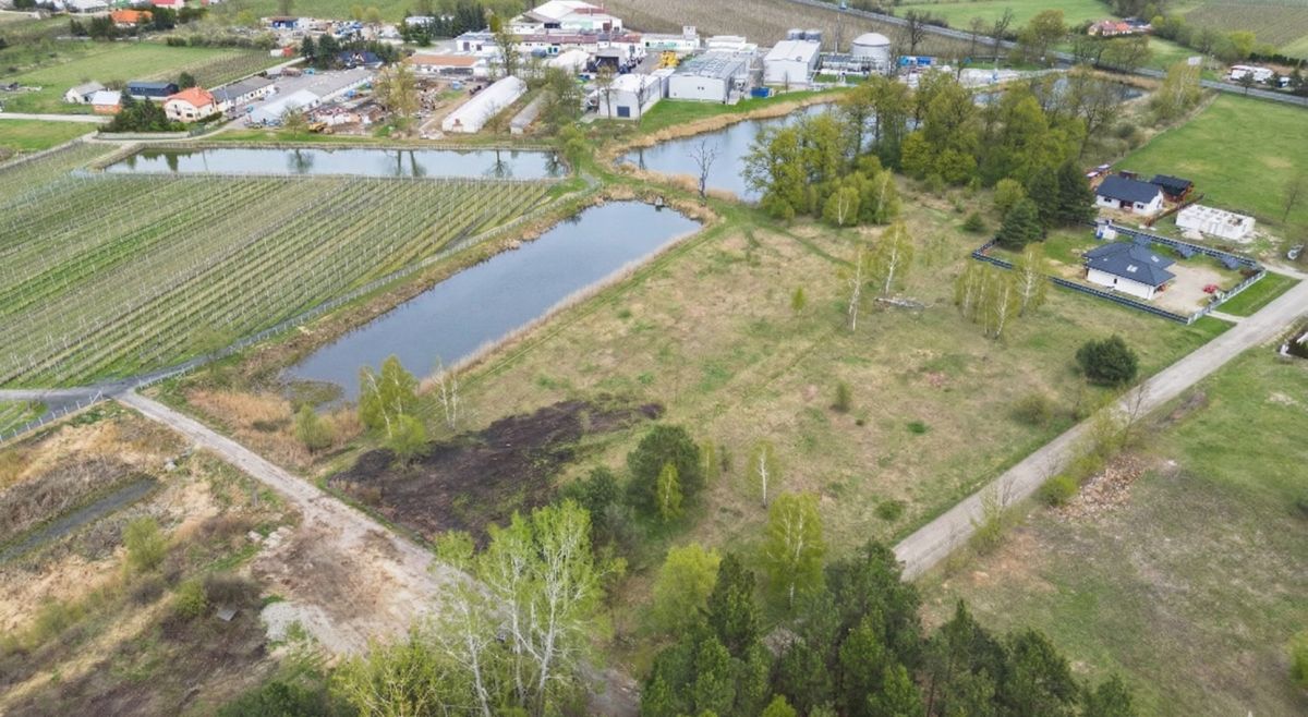 Appartamento - 1303 m² - Potycz