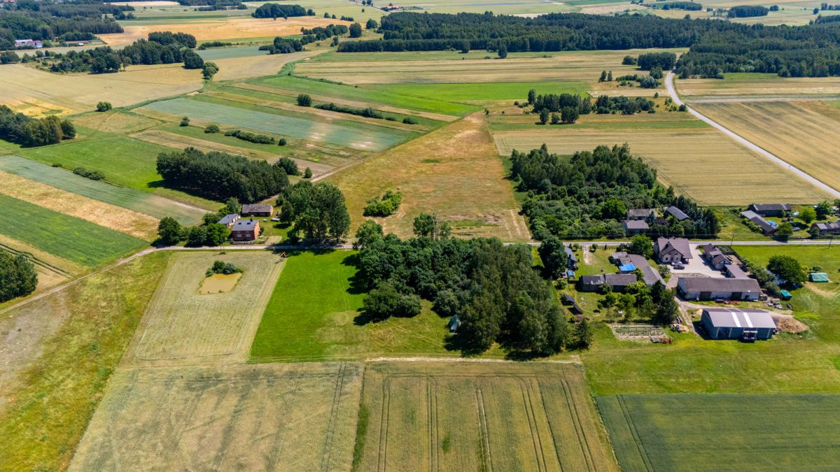 Ділянка - 6241 м² - Luciejów