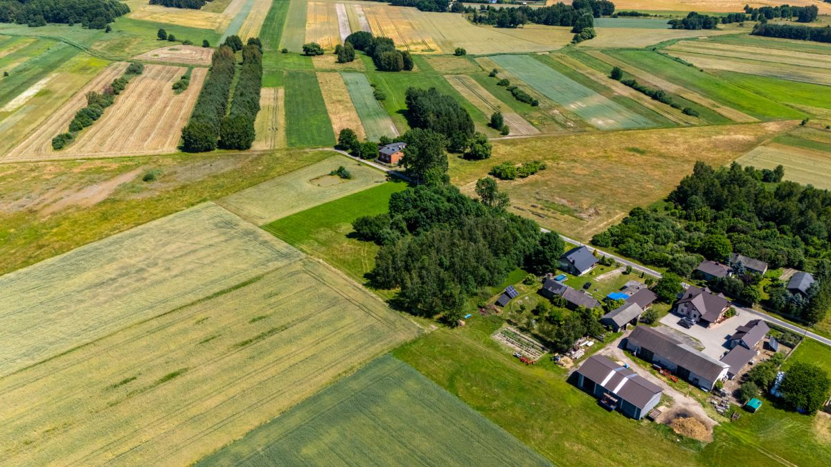 Ділянка - 6241 м² - Luciejów