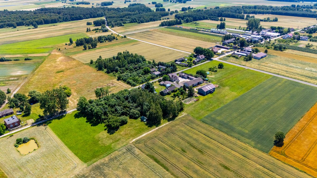 Ділянка - 6241 м² - Luciejów