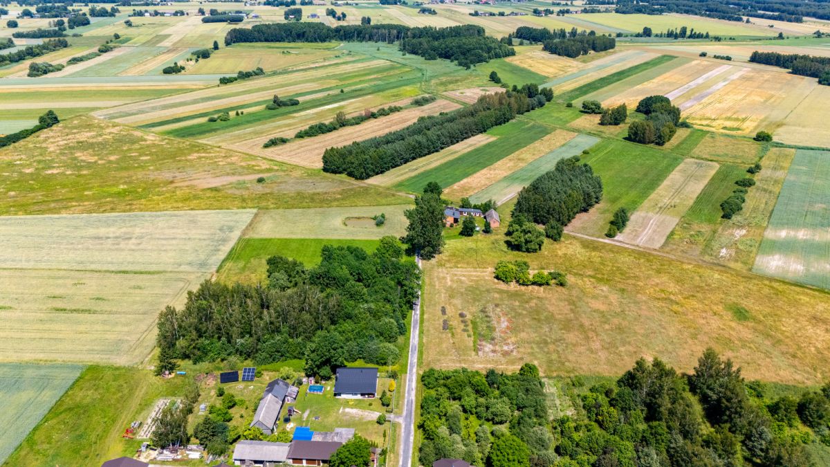 Ділянка - 6241 м² - Luciejów
