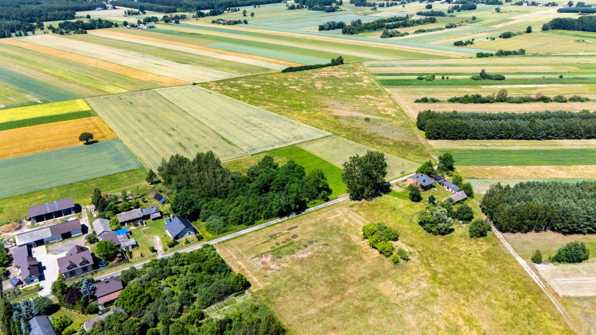 Ділянка - 6241 м² - Luciejów