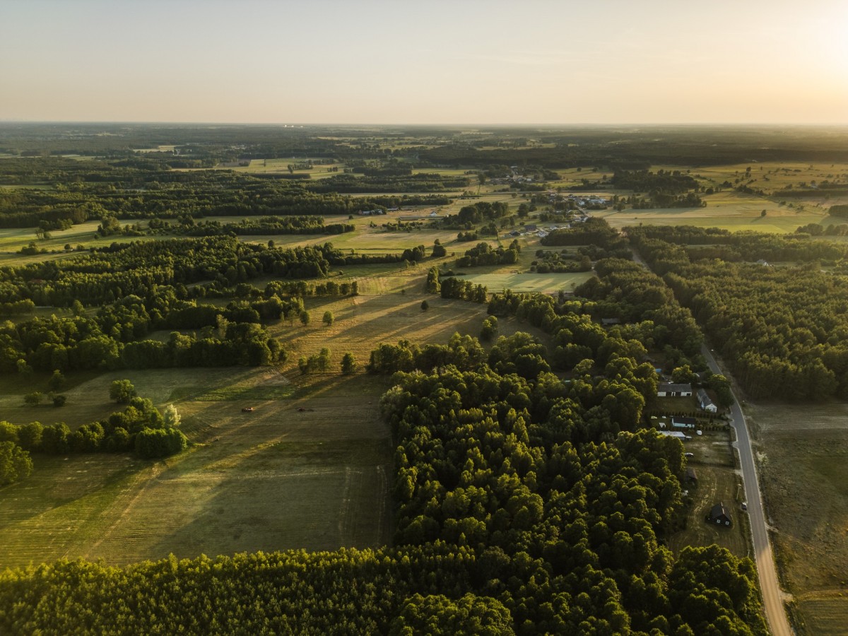 Działka - 1294 m² - Kiciny