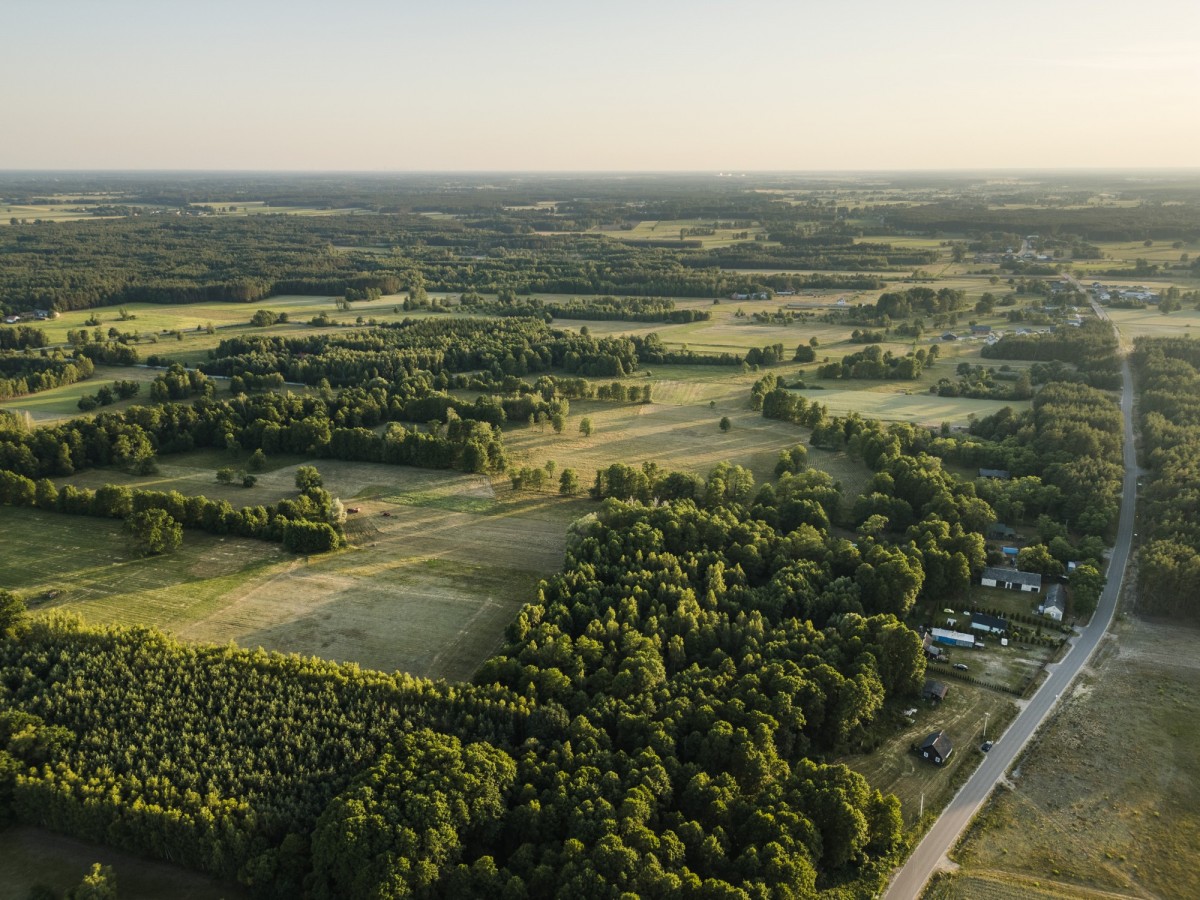 Działka - 1294 m² - Kiciny