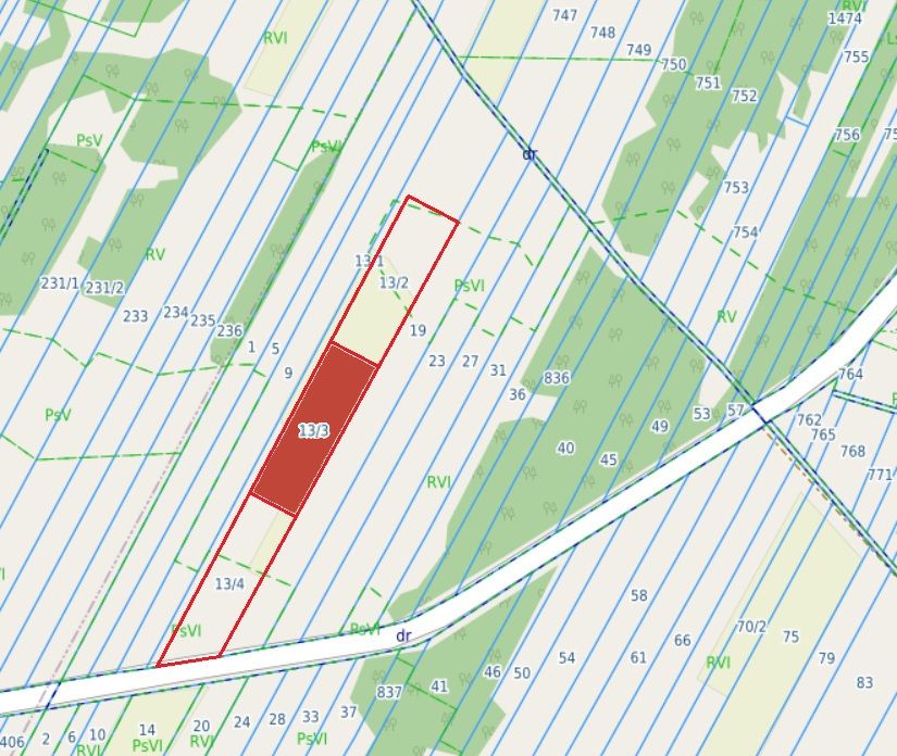 Plot - 9000 m² - Wólka Dąbrowicka