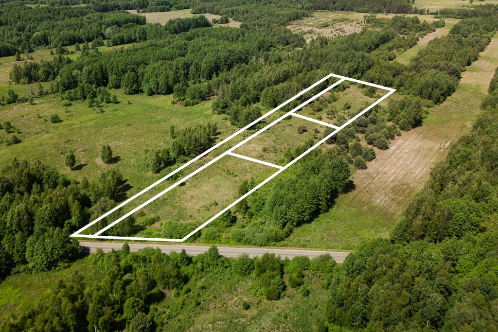 Plot - 9000 m² - Wólka Dąbrowicka