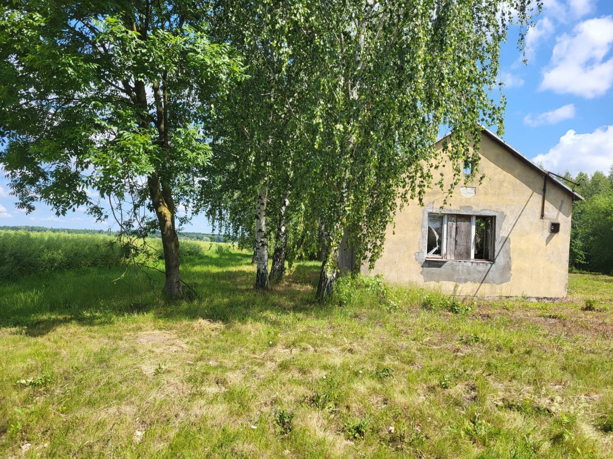 Apartment - 6400 m² - Elżbietów