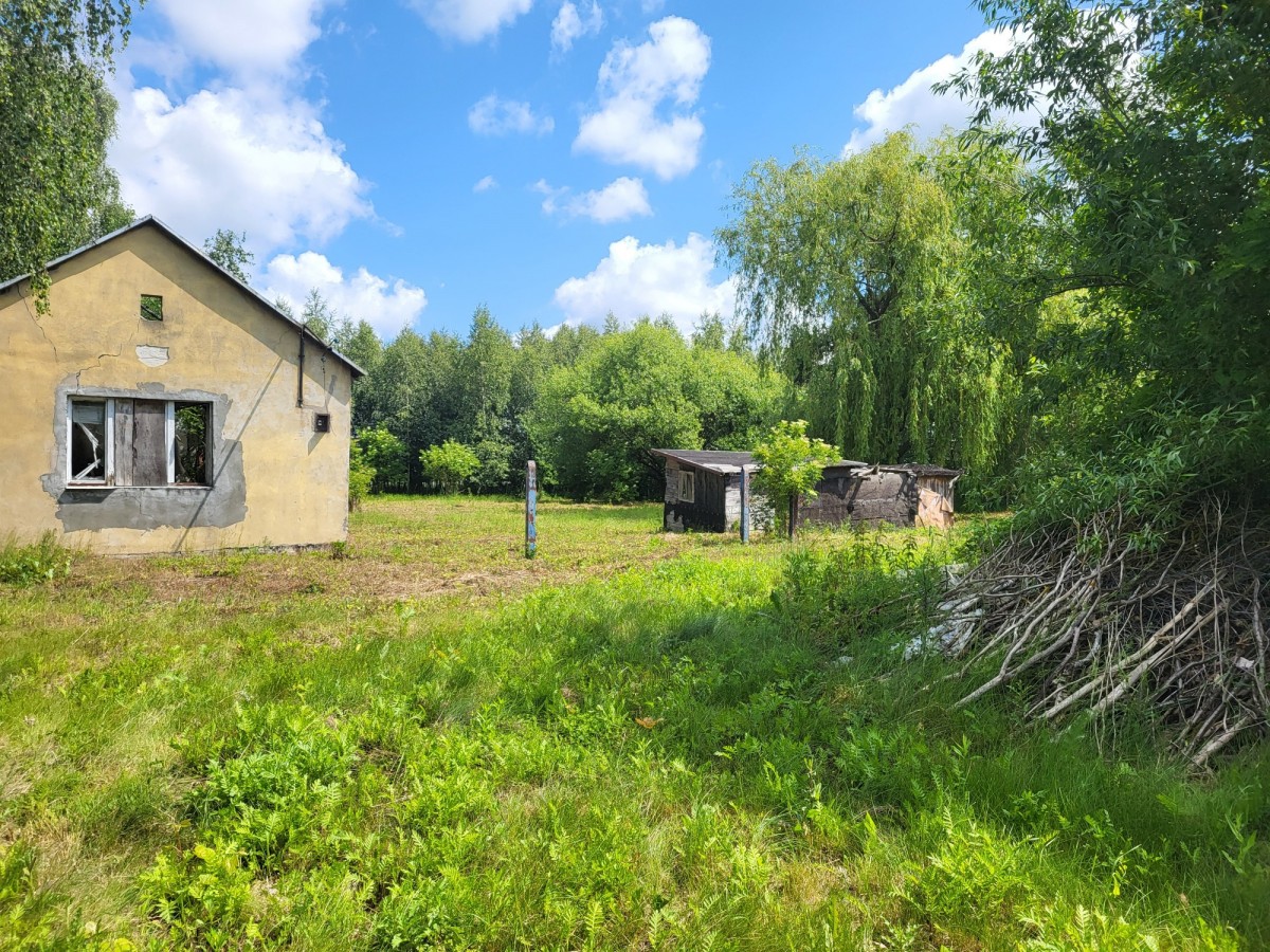 Apartment - 6400 m² - Elżbietów