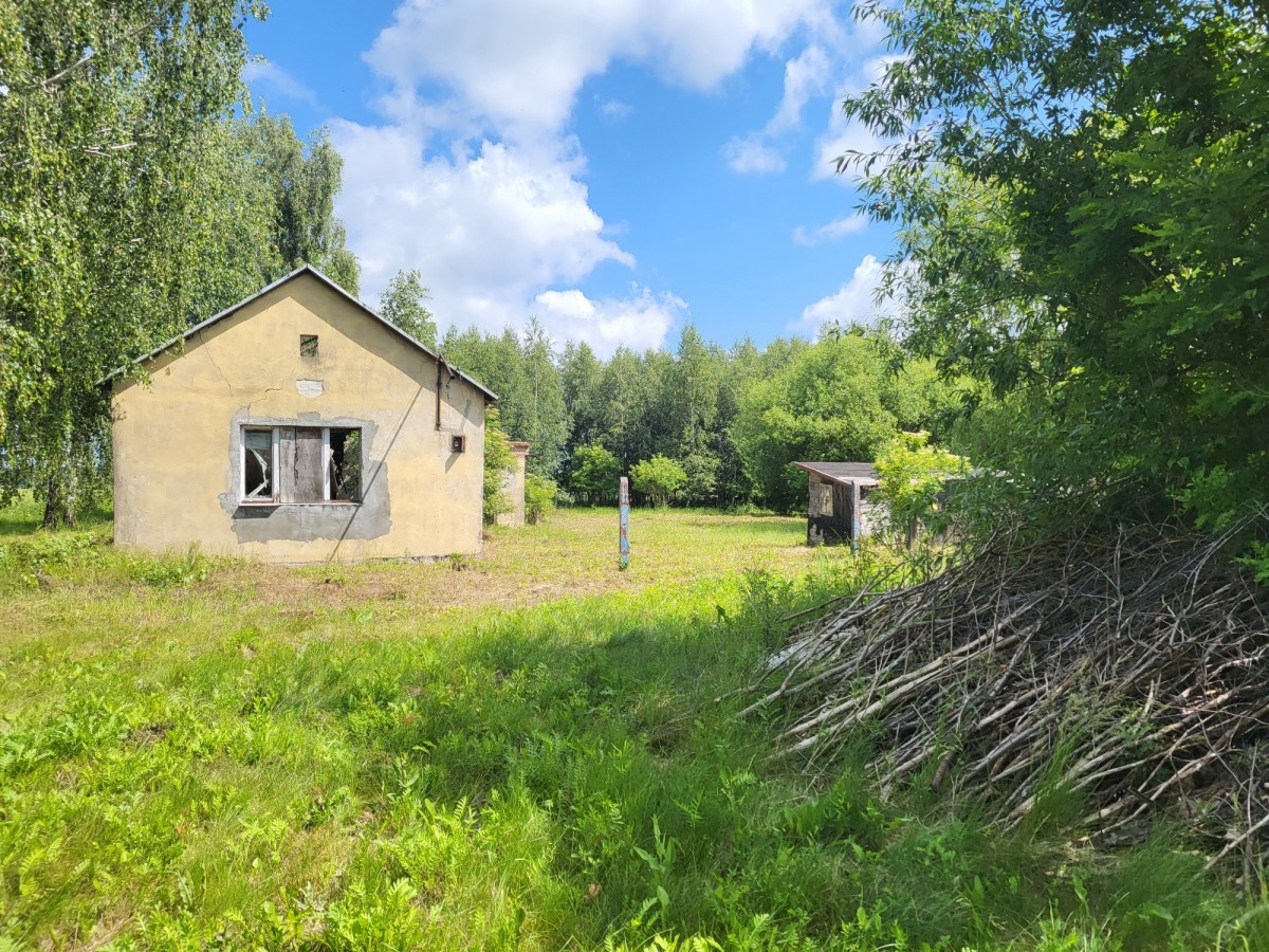 Apartment - 6400 m² - Elżbietów