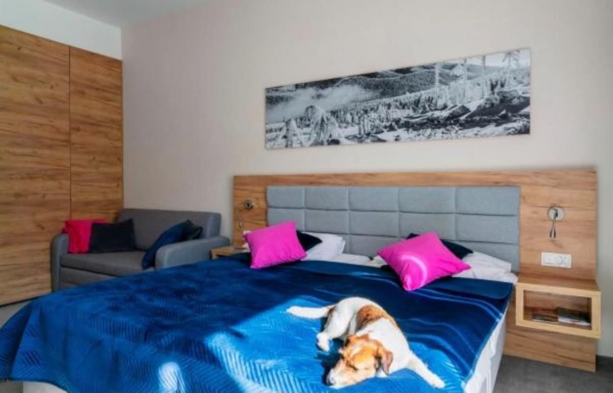Appartamento - 1 stanza - 28 m² - via Na Skarpie Biała Woda