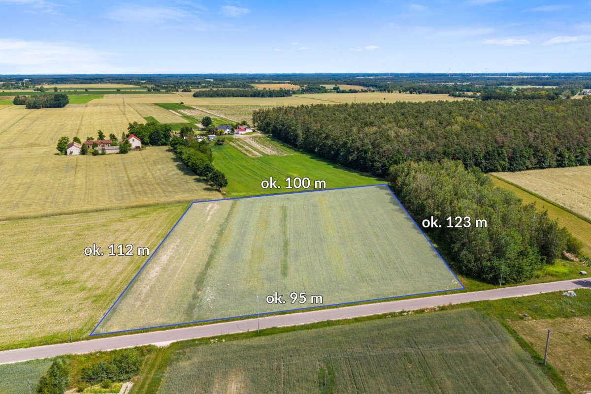 Ділянка - 45615 м² - Śniadowo