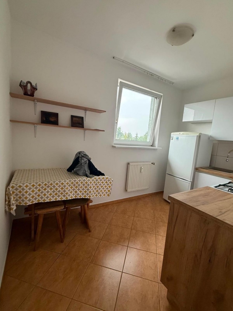 Apartment - 1 room - 38 m² - ul. Dalemińska Poznań Naramowice