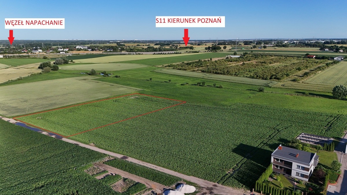 아파트 - 4개 방 - 5906 m² - ul. Polna Kobylniki