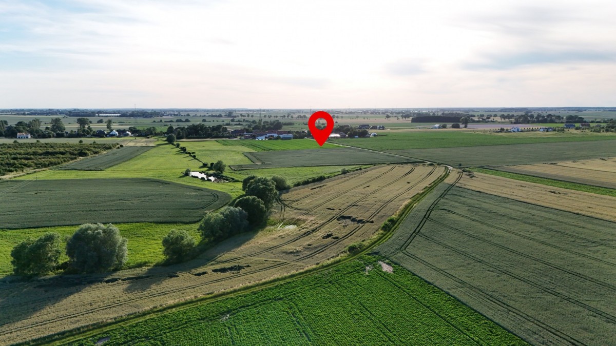 아파트 - 4개 방 - 5906 m² - ul. Polna Kobylniki