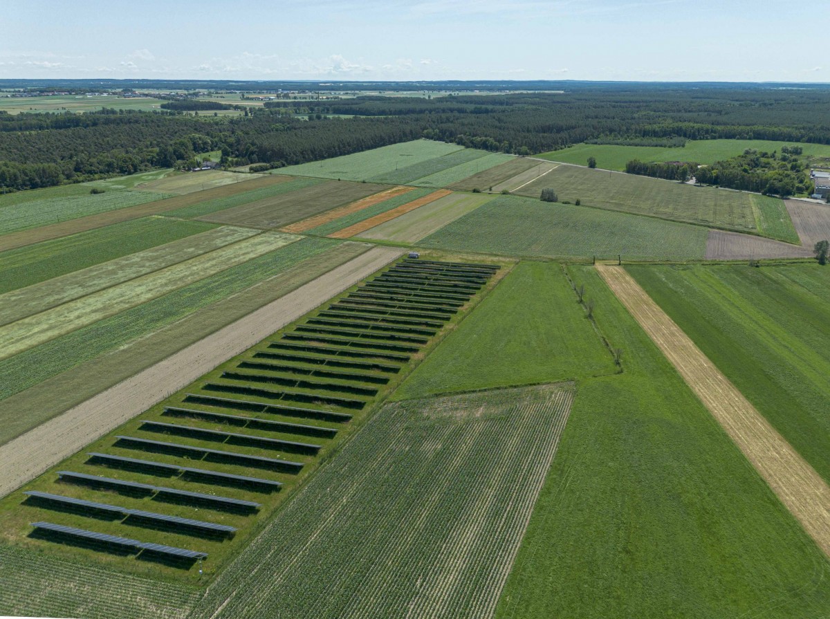 Terreno - 5400 m² - Rzemiechów