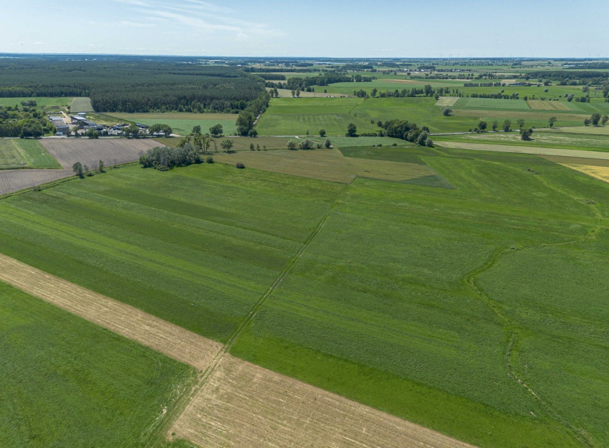 Terreno - 5400 m² - Rzemiechów