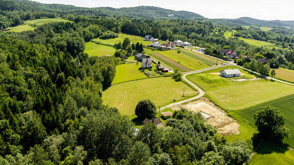 Terreno - 1000 m² - Burzyn