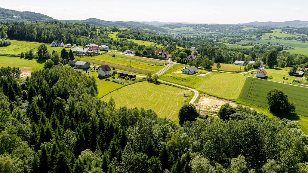 Terreno - 1000 m² - Burzyn