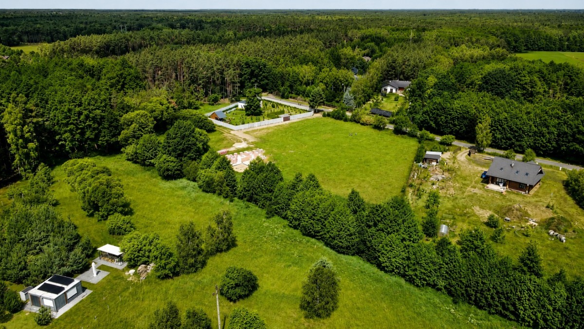 Apartment - 1203 m² - Leśna Graby St.