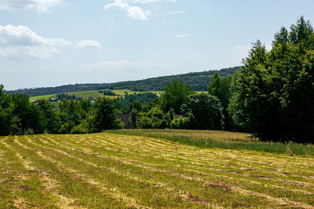 Terreno - 4300 m² - Gromnik