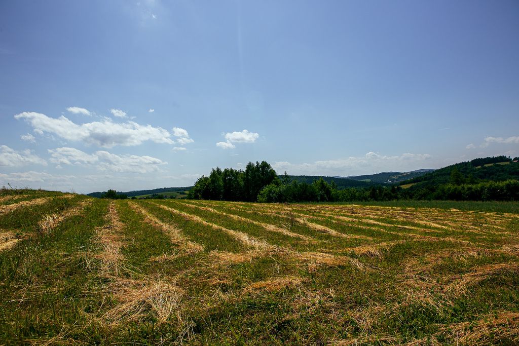 Terreno - 4300 m² - Gromnik