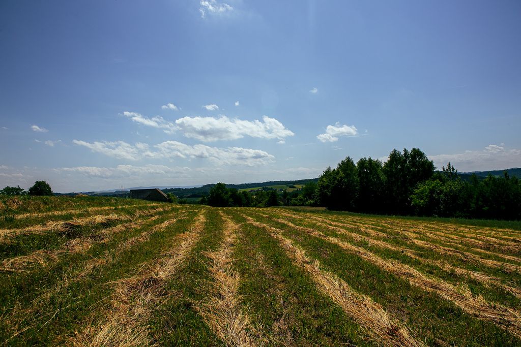 Terreno - 4300 m² - Gromnik