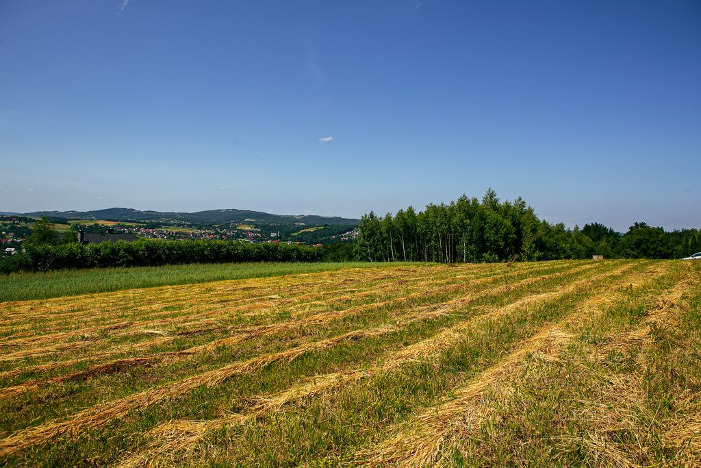 Terreno - 4300 m² - Gromnik