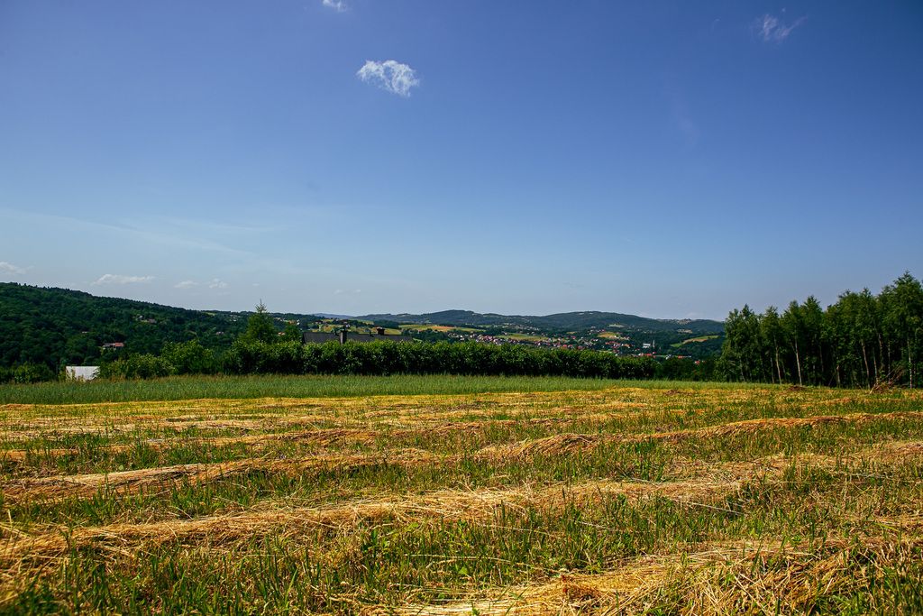 Terreno - 4300 m² - Gromnik