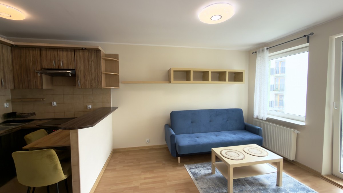Mieszkanie - 2 pokoje - 40 m² - ul. św. Wawrzyńca Poznań Jeżyce
