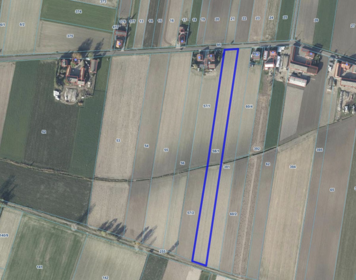 Terreno - 58000 m² - Magdalenki