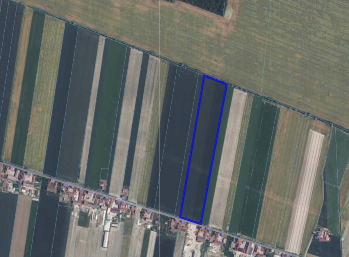 Terreno - 58000 m² - Magdalenki