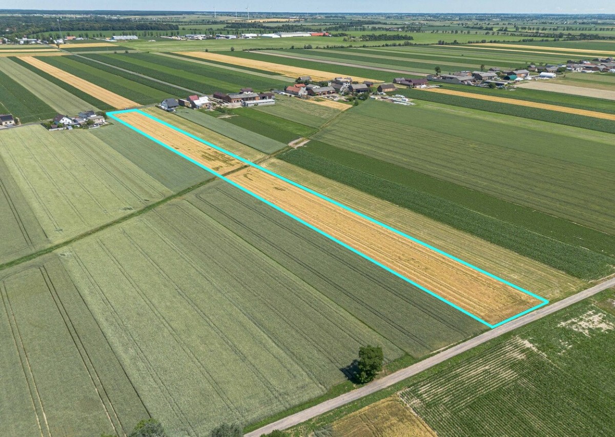Terreno - 58000 m² - Magdalenki