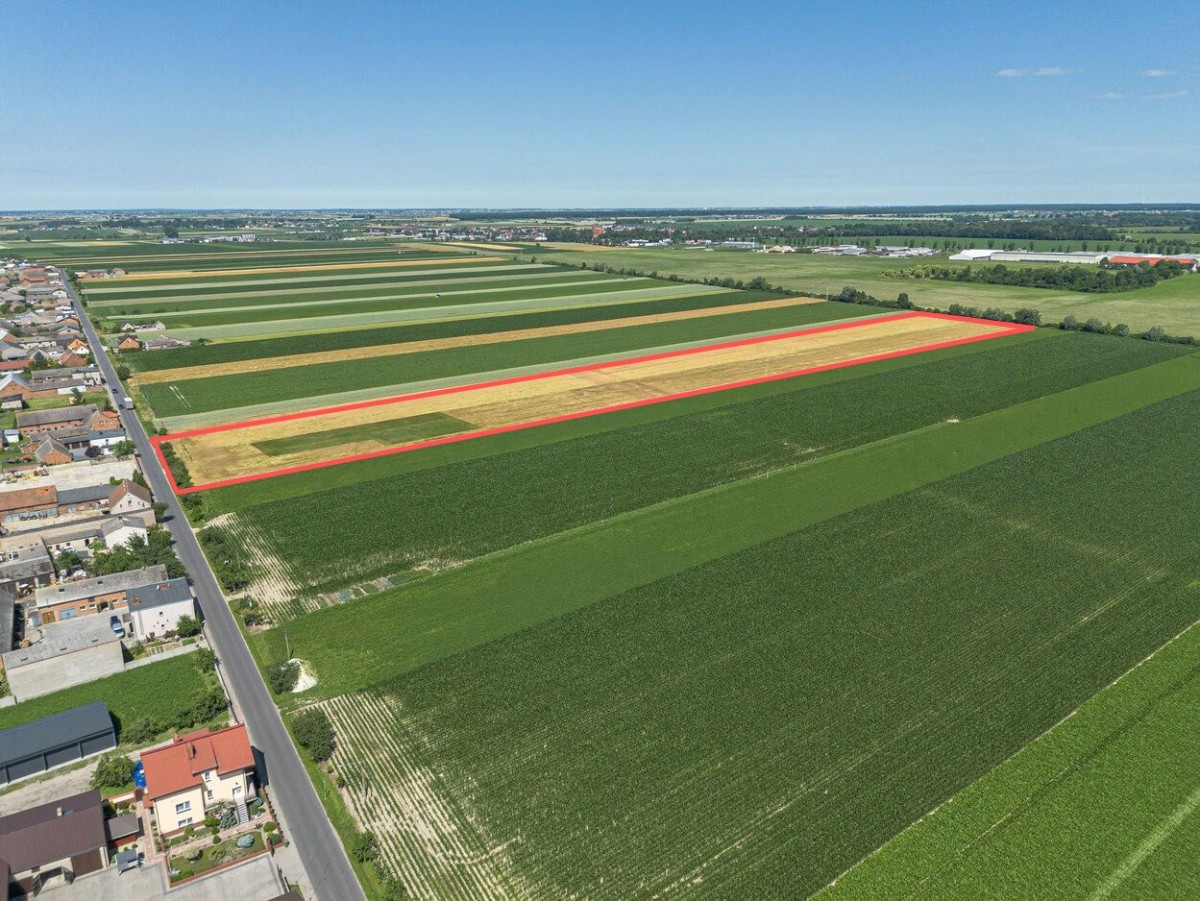 Terreno - 58000 m² - Magdalenki