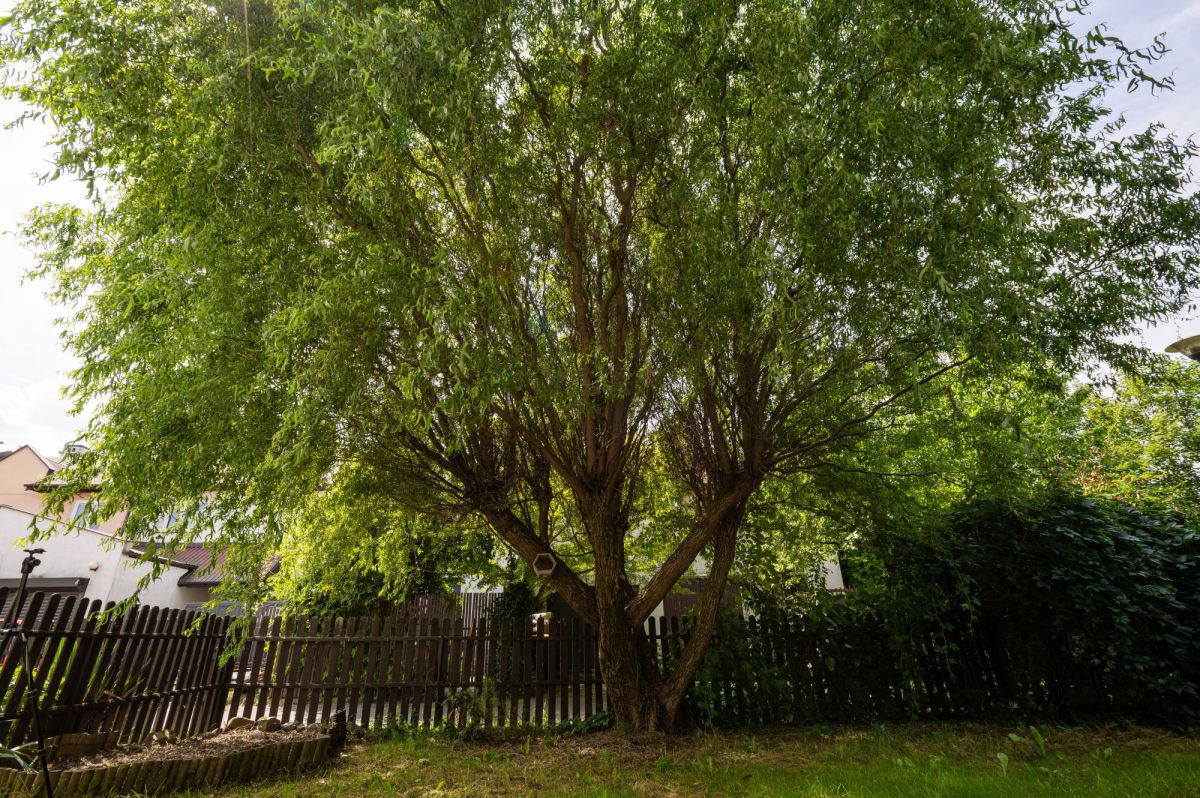 Mieszkanie - 2 pokoje - 42 m² - ul. Złocieniowa Kraków Złocień