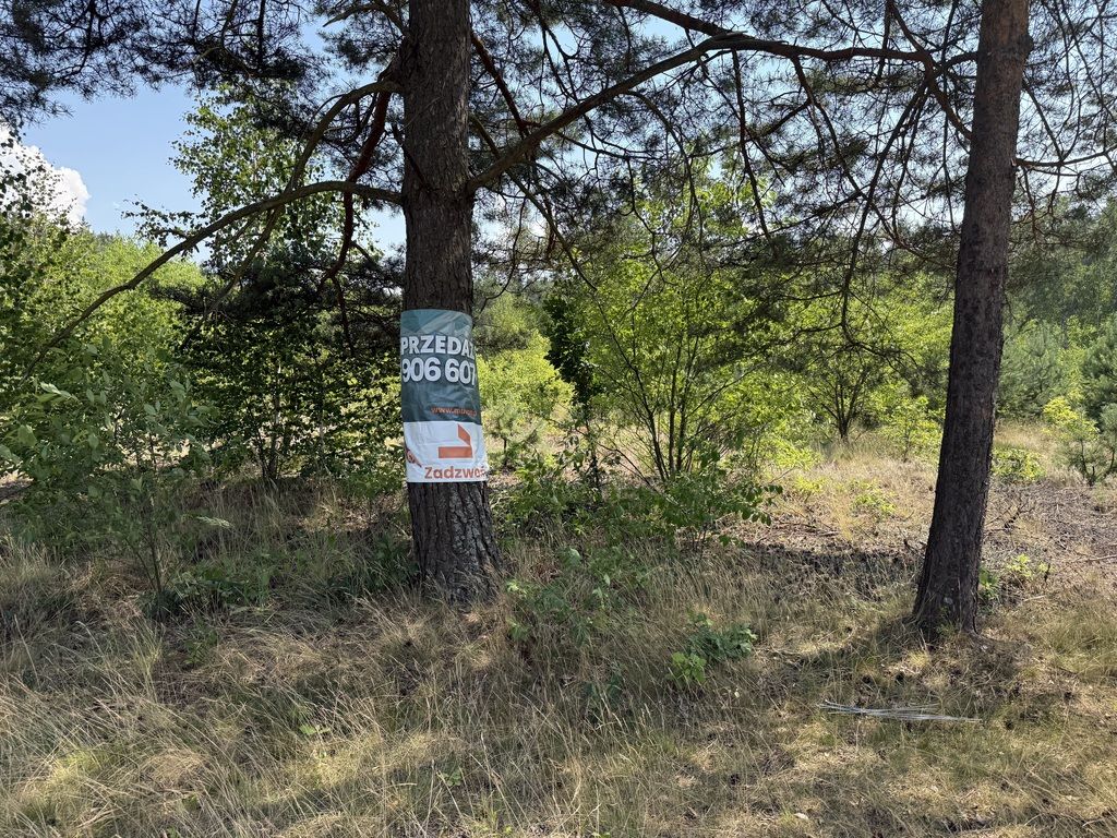 Plot - 2625 m² - Osina