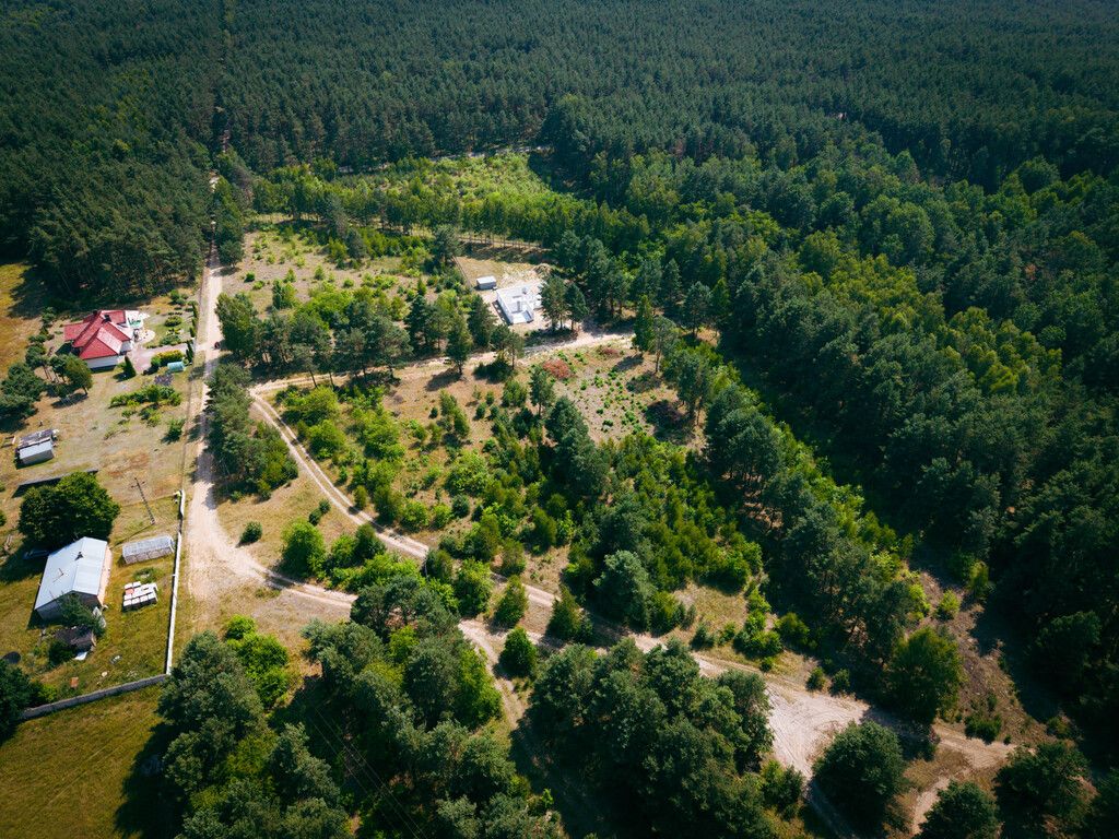 Plot - 1825 m² - Osina