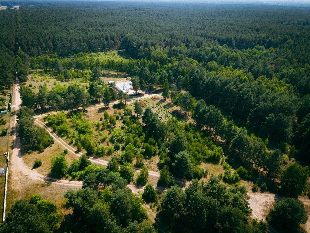 Plot - 1825 m² - Osina